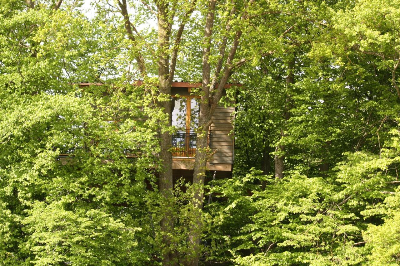 Baumhaus Auf Dem Kellerberg Βίλα Fischach Εξωτερικό φωτογραφία